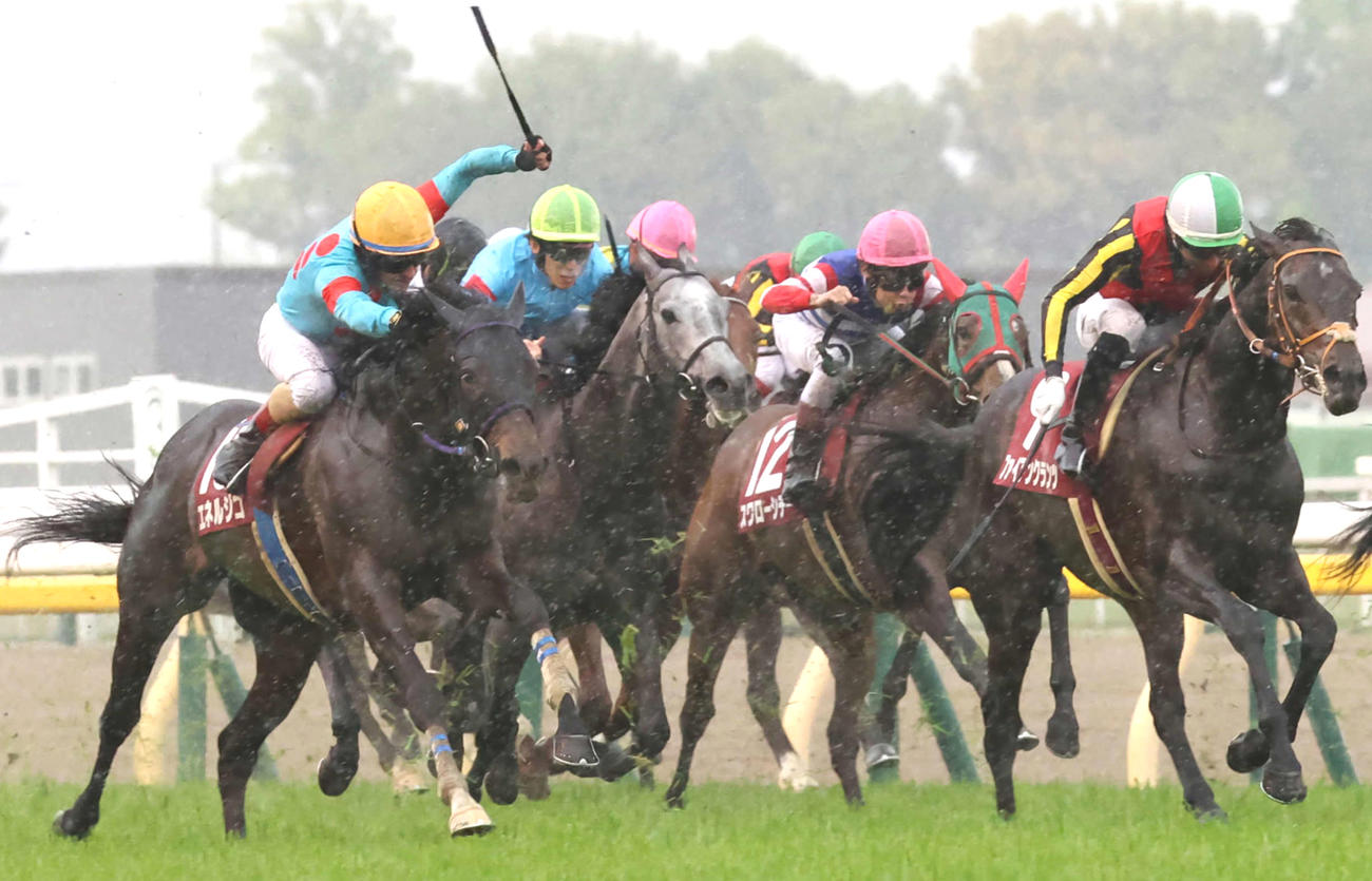 青葉賞を制したエネルジコとルメール騎手（左端）