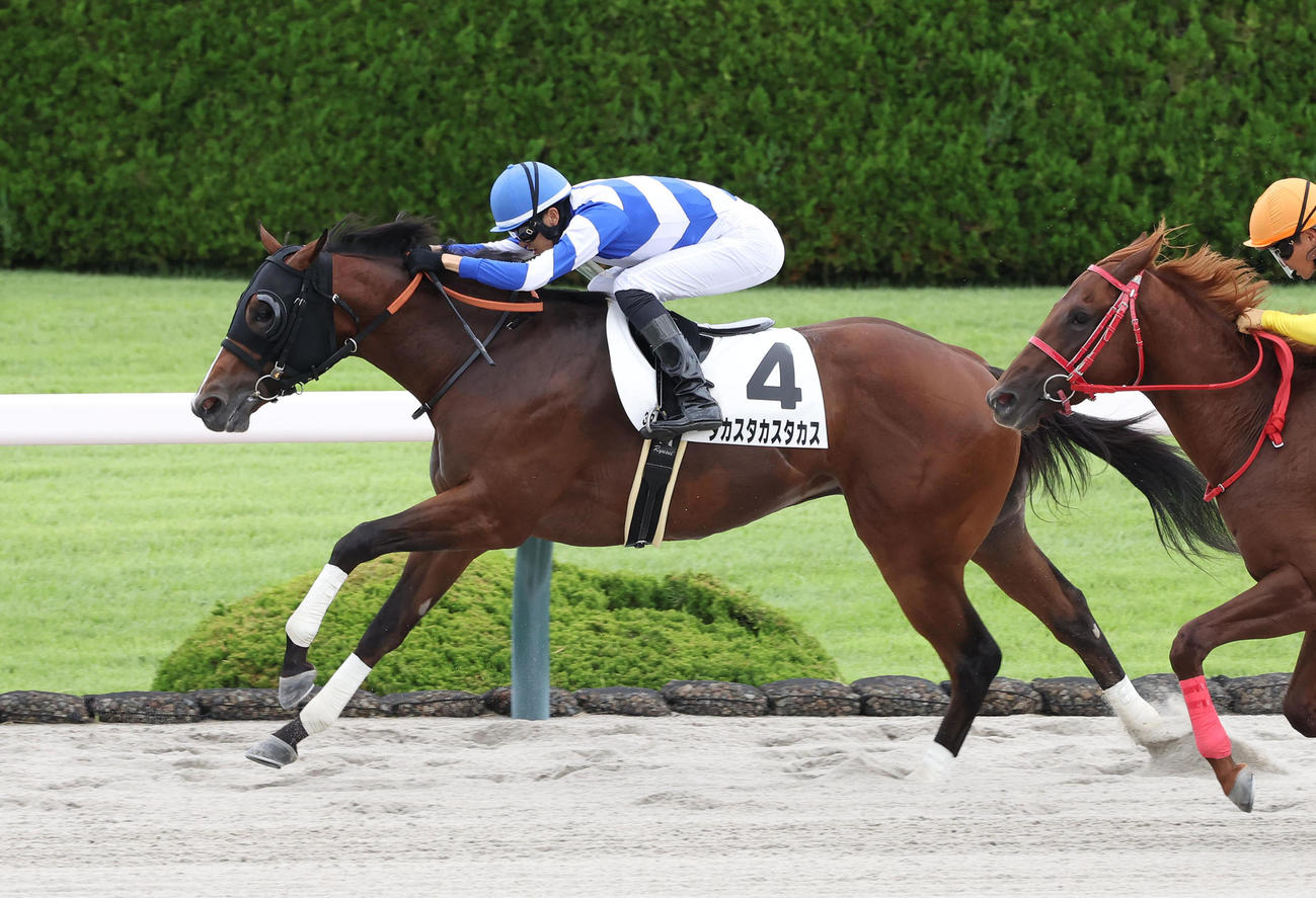 阪神3R、直線抜け出して新馬戦を制したタカスタカスタカス（撮影・白石智彦）
