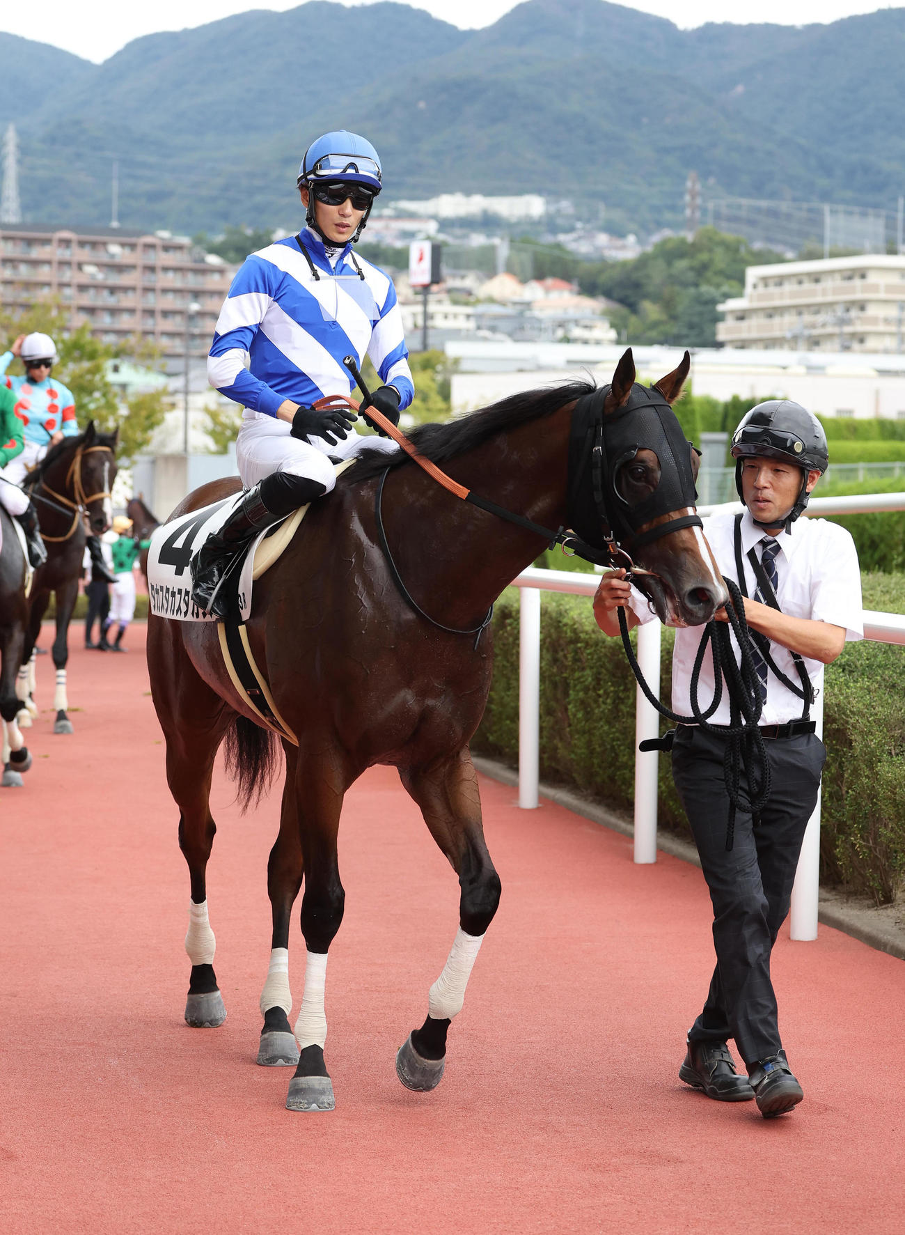阪神3R、新馬戦を制したタカスタカスタカス（撮影・白石智彦）