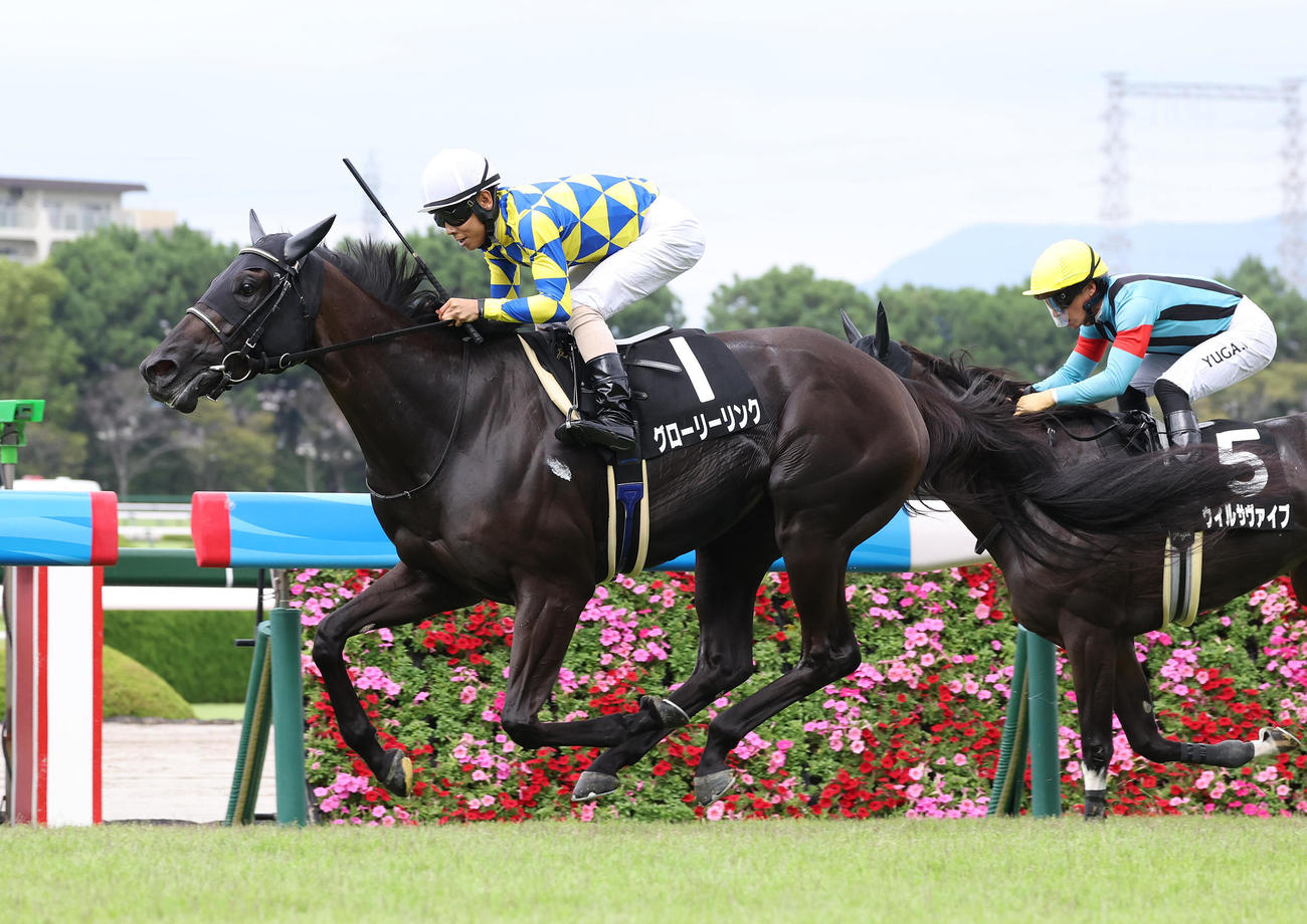 逃げたウィルサヴァイブ（奥）を差し切って夕月特別を制したグローリーリンク（撮影・白石智彦）