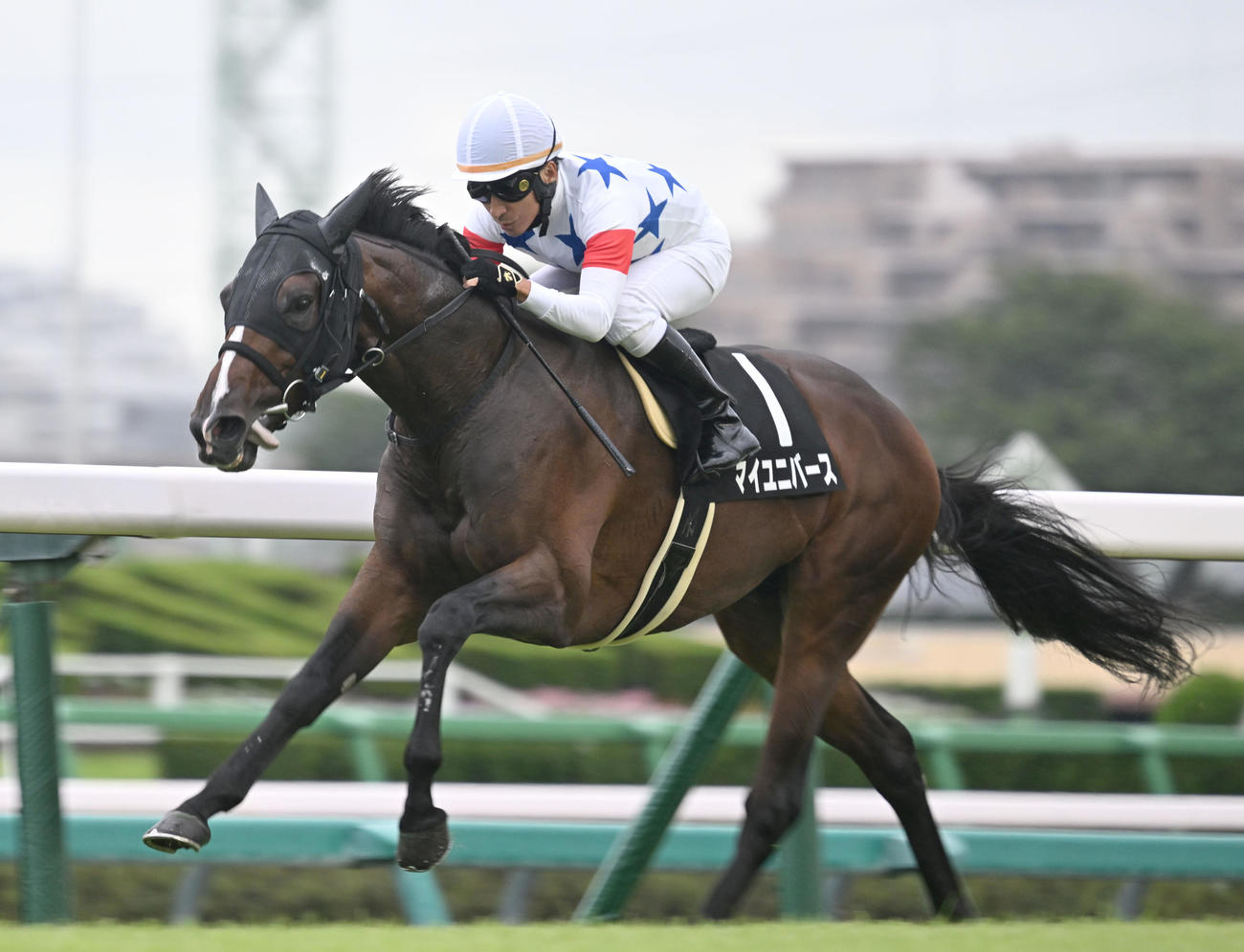 九十九里特別を制したマイユニバースと横山典騎手（撮影・千葉一成）