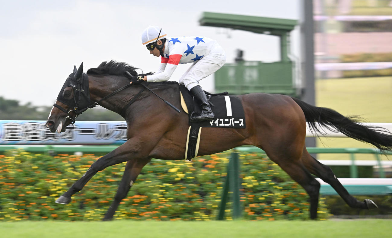 九十九里特別を制したマイユニバースと横山典騎手（撮影・千葉一成）