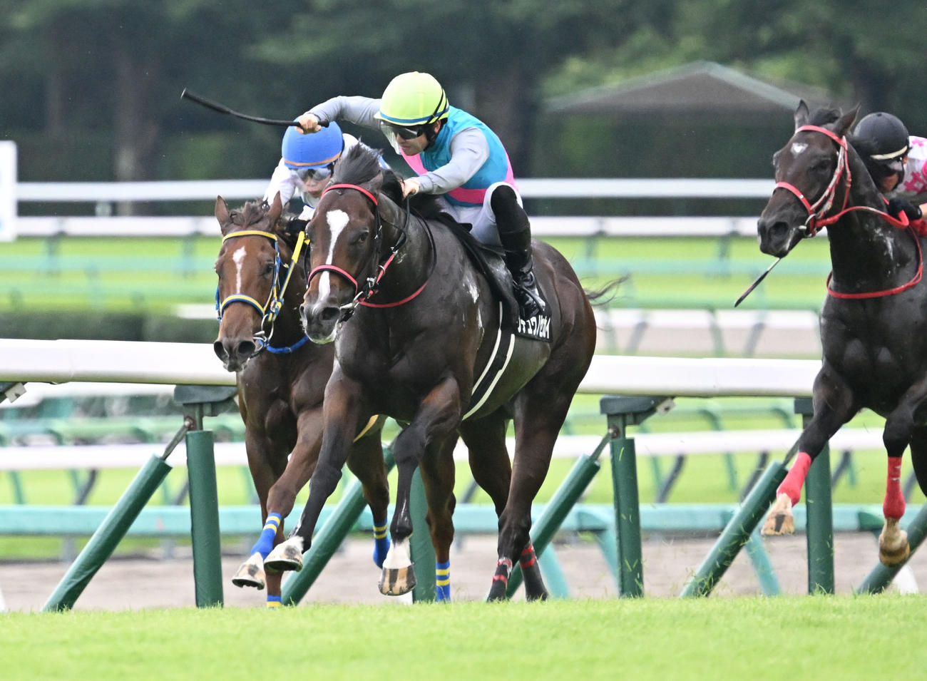 カンナSを制したウチュウノセカイと原騎手（中央）（撮影・千葉一成）