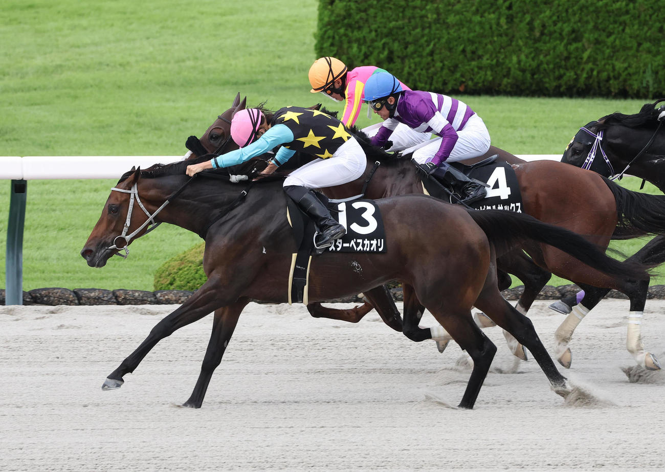 直線鋭く伸びて大阪スポーツ杯を制したスターペスカオリ（撮影・白石智彦）