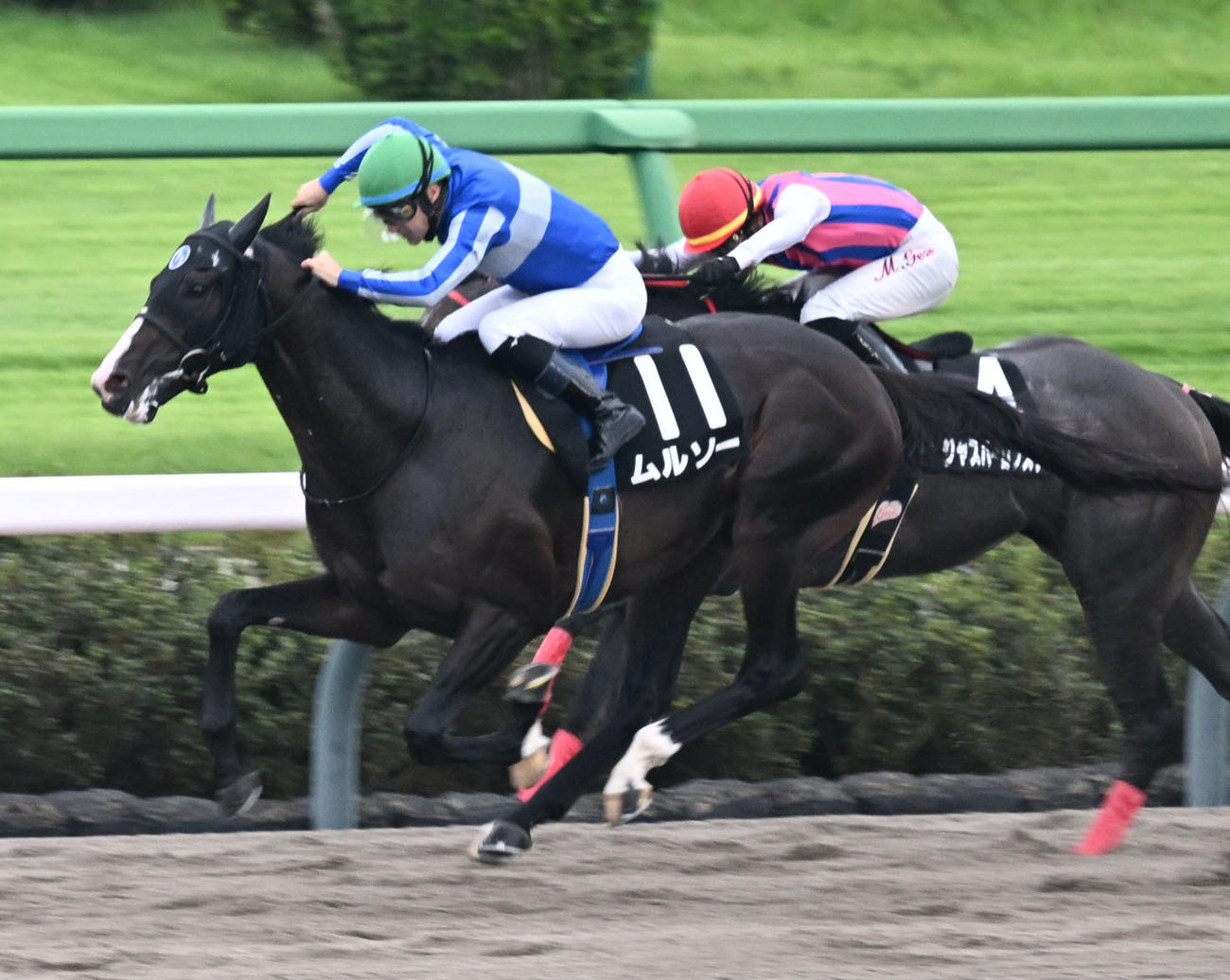 イサ殿下御来場記念を制したムルソーとルメール騎手（左）（撮影・千葉一成）