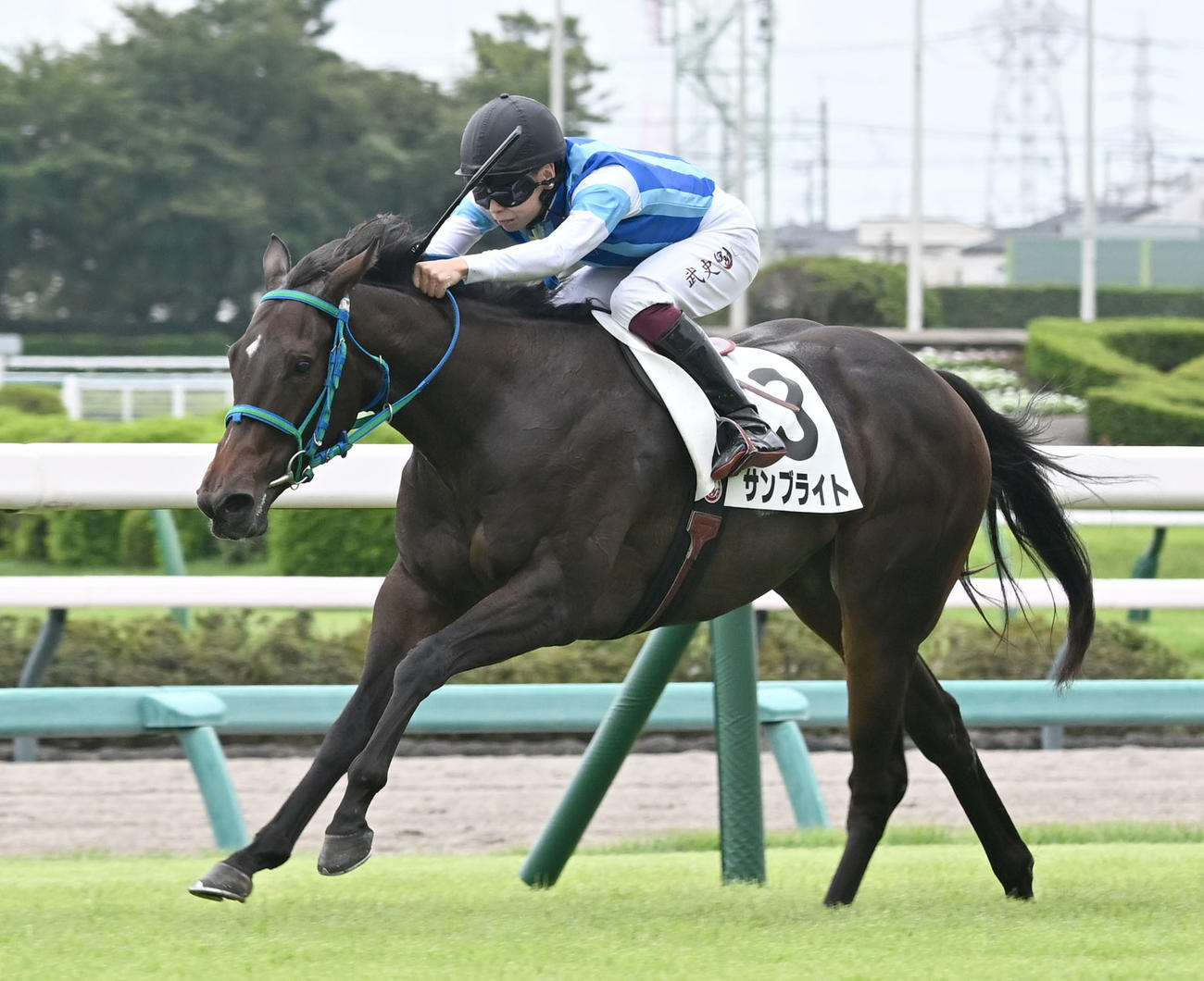 中山5R、2歳新馬戦を制したサンブライトと横山武騎手（撮影・千葉一成）