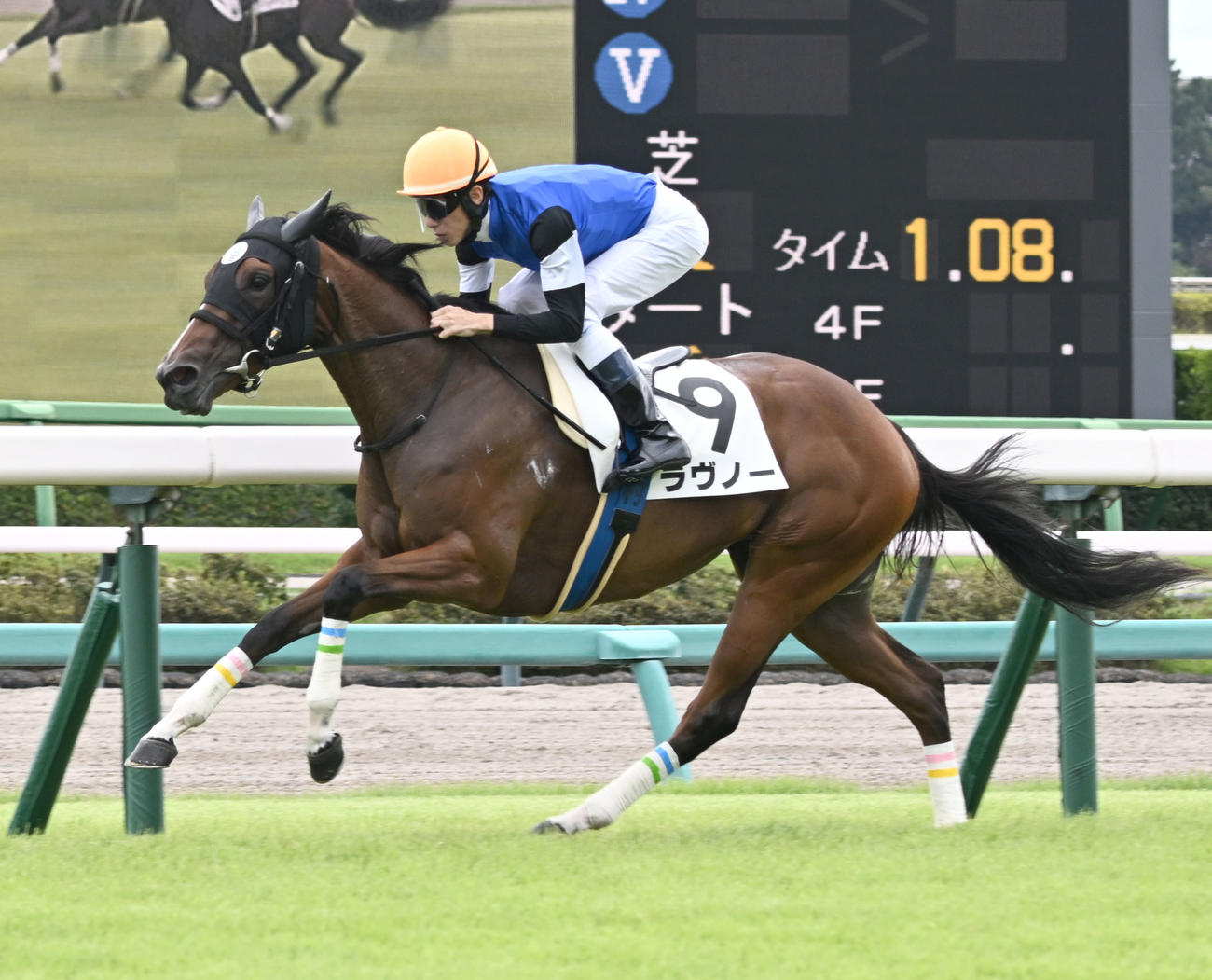 中山4R、2歳新馬戦を制したラヴノーと津村騎手（撮影・千葉一成）