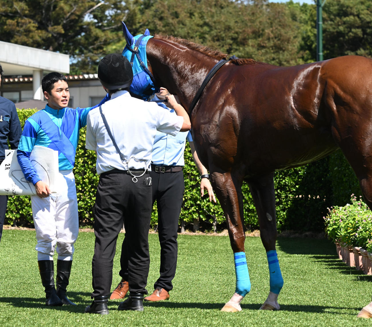 中山2R、2歳未勝利戦を制し、マーシャルアンをねぎらう上里騎手（撮影・千葉一成）