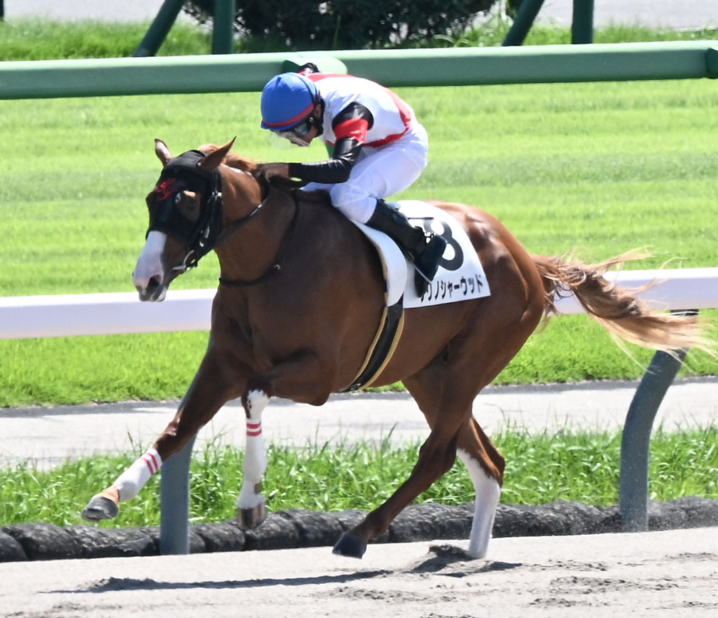 中山4R、2歳新馬戦を制したナリノシャーウッドと岩田望騎手（撮影・千葉一成）