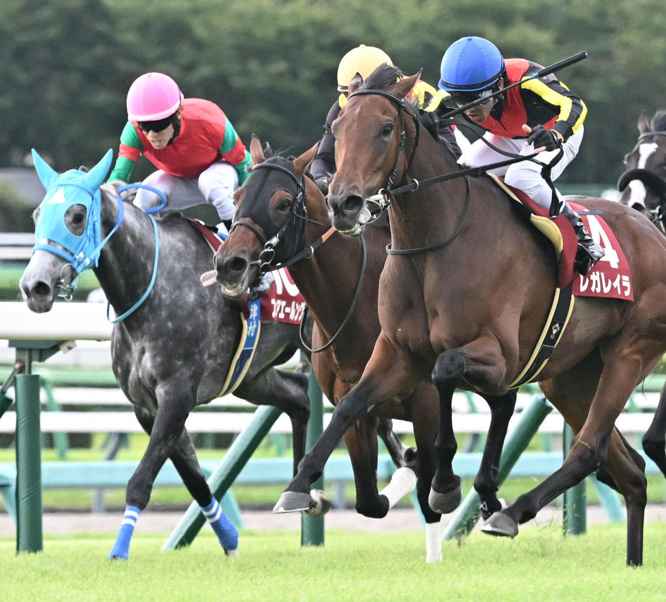 オールカマー4着のフェアエールング（左）。右は勝ったレガレイラ（撮影・千葉一成）