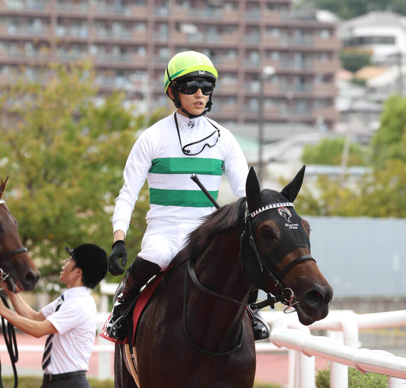 神戸新聞杯、2着に入り菊花賞の優先出走権を獲得したショウヘイ（撮影・白石智彦）