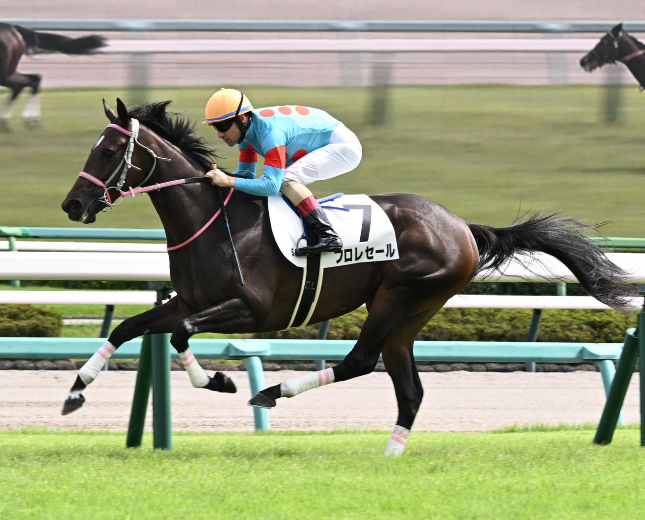 中山5R、2歳新馬戦を制したフロレセールとルメール騎手（撮影・千葉一成）