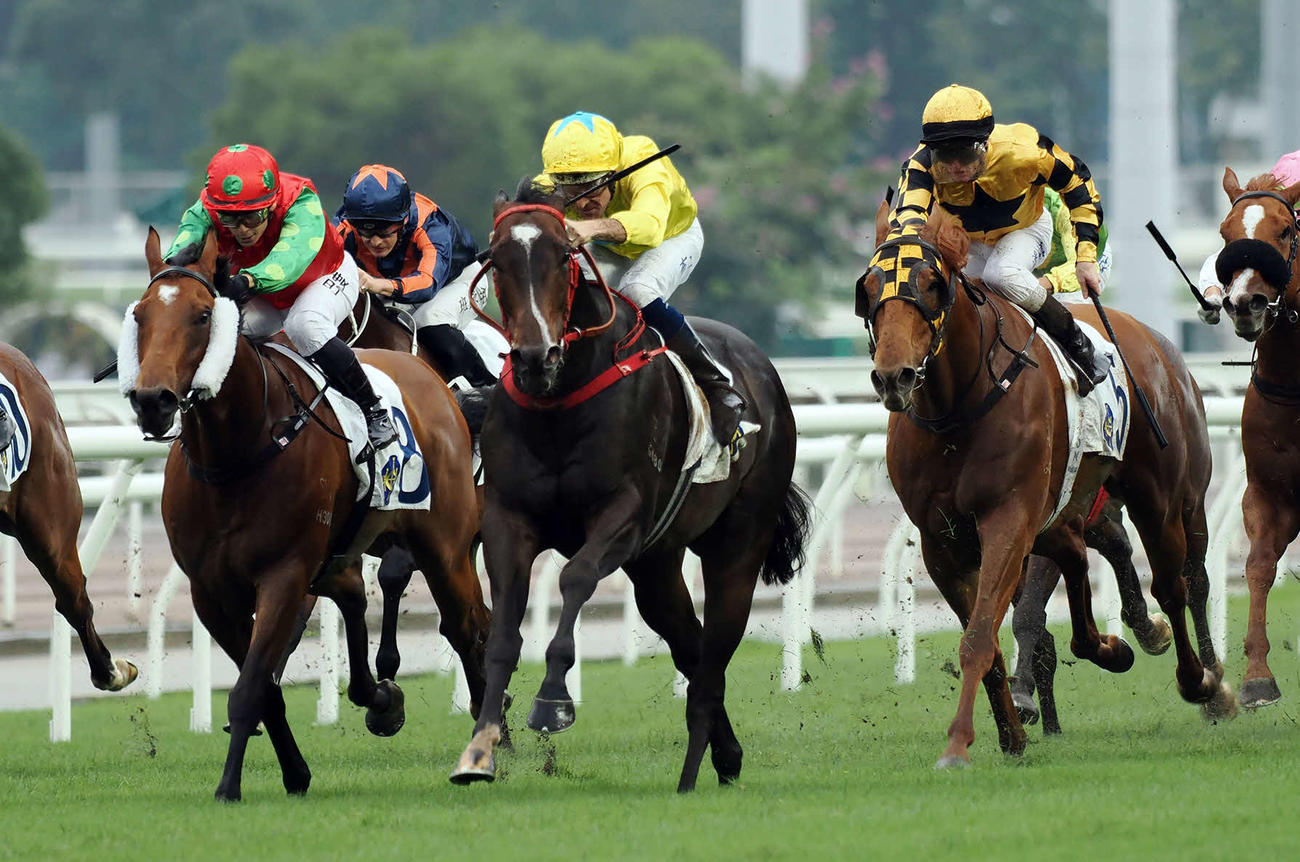 ラッキースワイネス（C）The　Hong　Kong　Jockey　Club