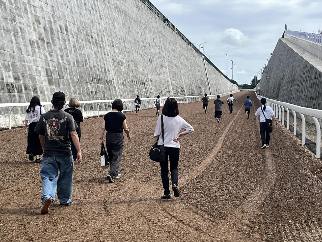 坂路登坂の体験
