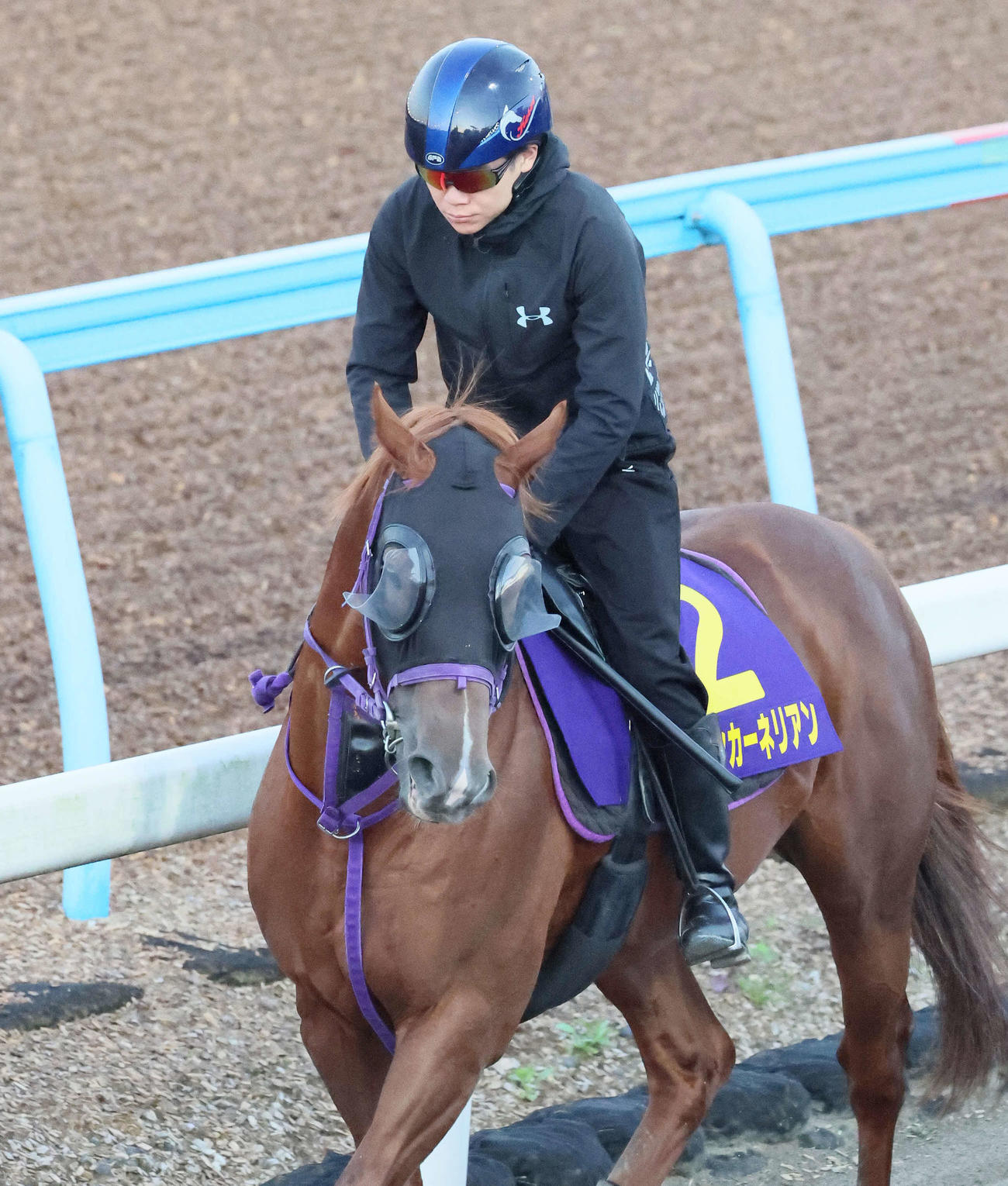 ダートコースで運動するウインカーネリアンと三浦騎手（撮影・丹羽敏通）