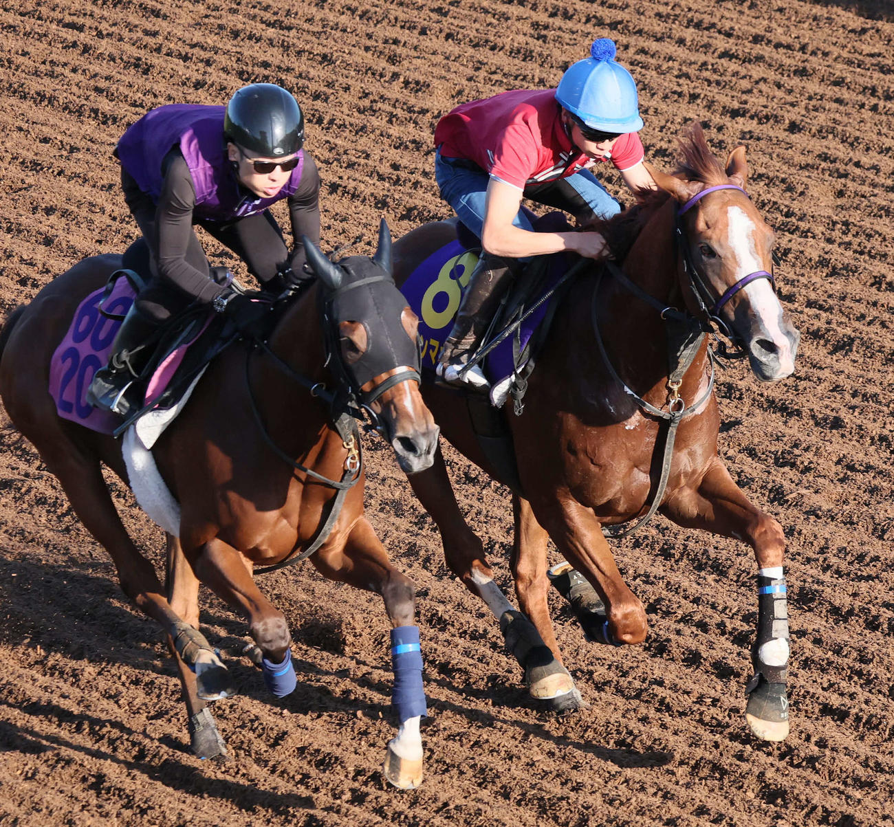 トウシンマカオ（右）は横山武騎手を背に坂路でビービーエフォートと併せて追い切られた（撮影・丹羽敏通）