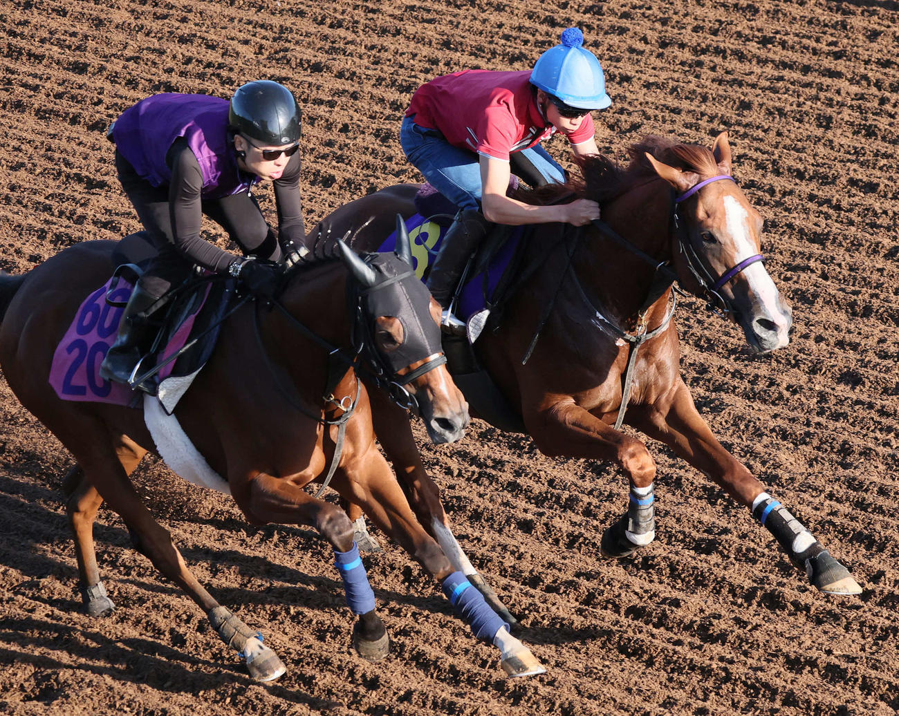 トウシンマカオ（右）は横山武騎手を背に坂路でビービーエフォートと併せて追い切られた（撮影・丹羽敏通）