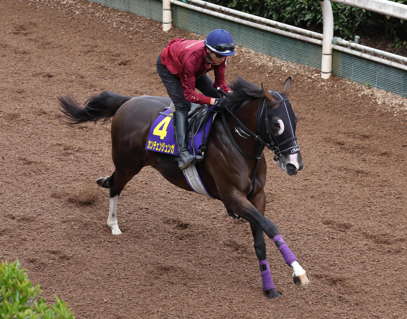 坂井騎手を背に坂路を単走で追いきるカンチェンジュンガ
