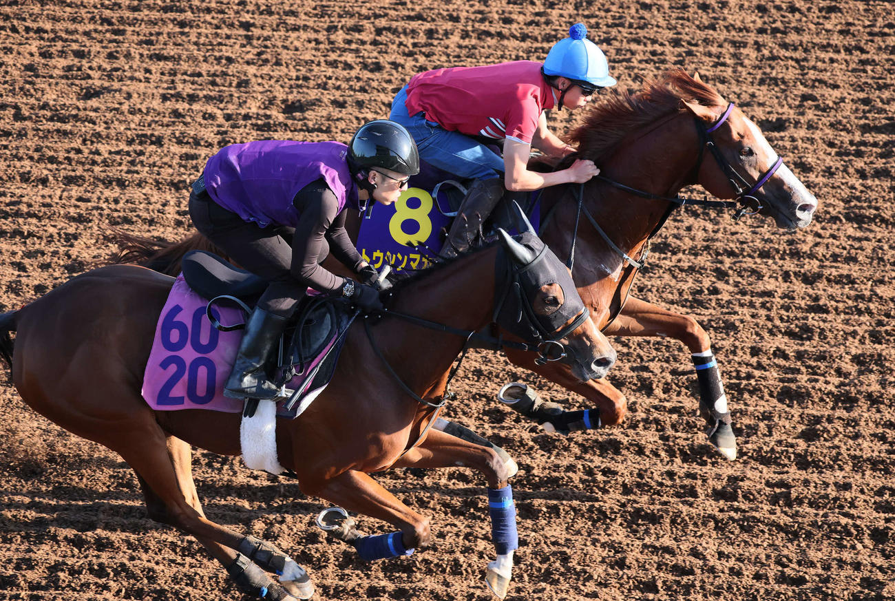 トウシンマカオ（右）は横山武騎手を背に美浦坂路でビービーエフォートと併せて追い切られた（撮影・丹羽敏通）