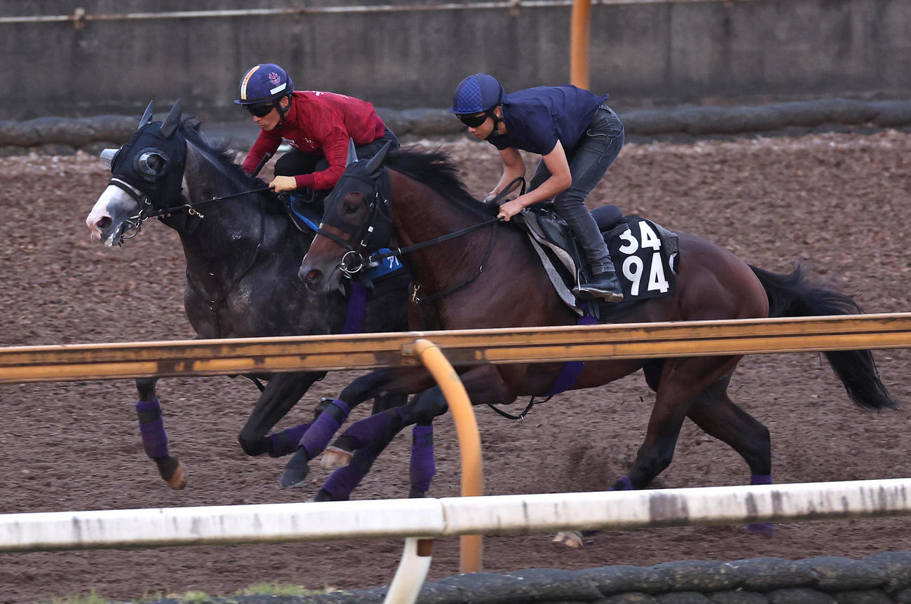 川田騎手を背にCウッドをバズアップビート（右）と併せ馬で追い切るアドマイヤテラ（撮影・白石智彦）