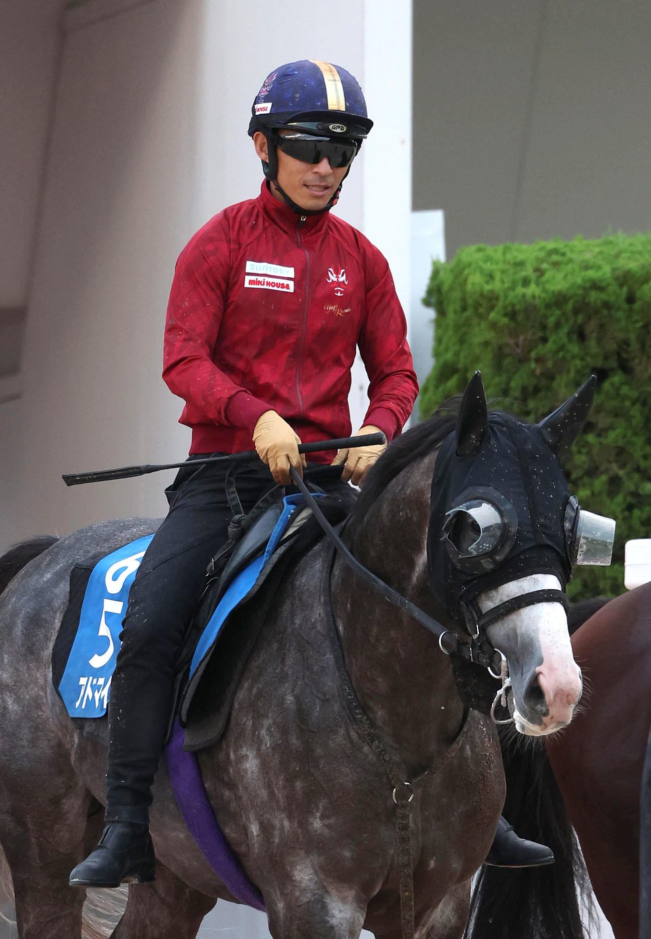 川田騎手を背に調教から引き揚げるアドマイヤテラ（撮影・白石智彦）