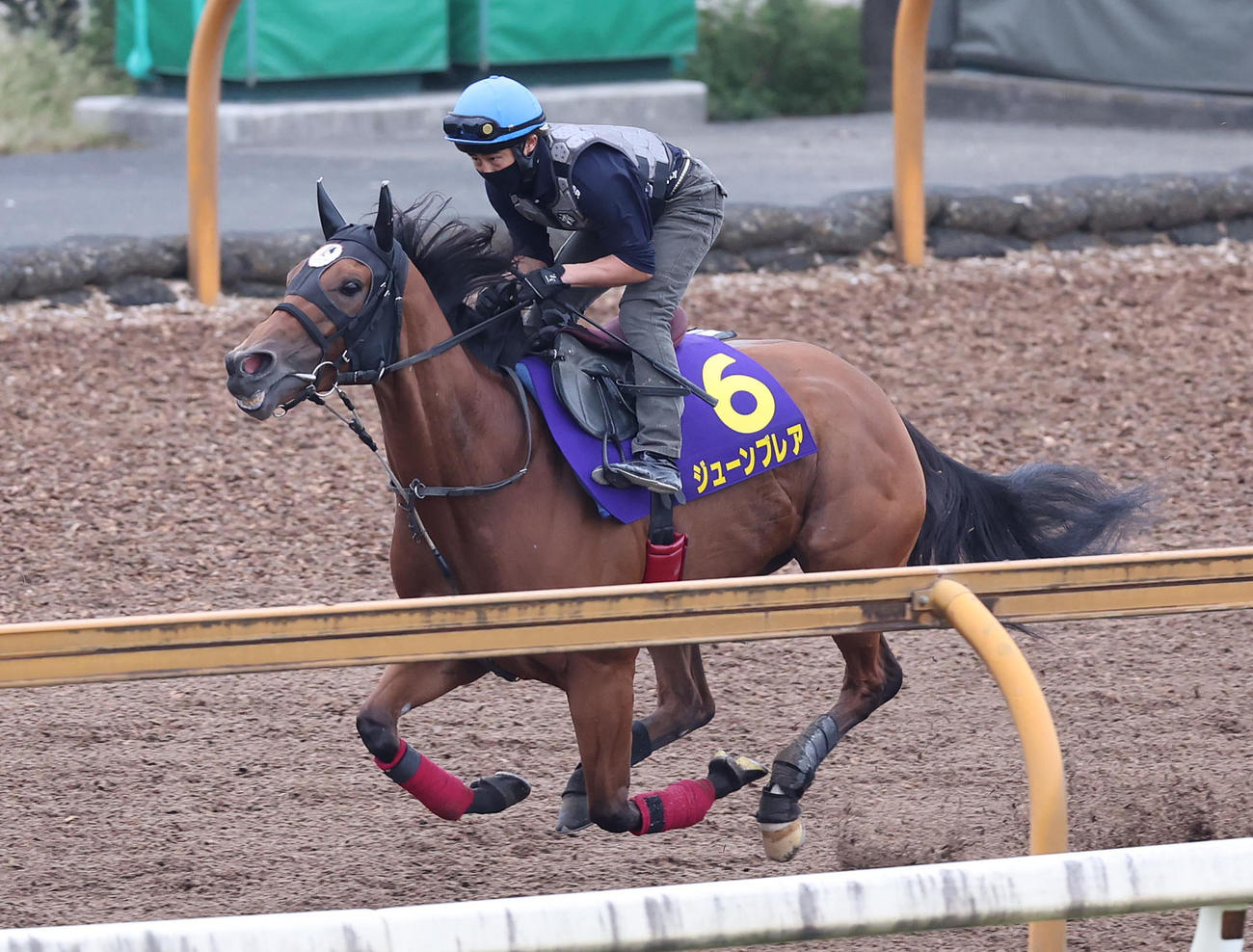 高倉騎手を背にCウッドを単走で追い切るジューンブレア（撮影・白石智彦）