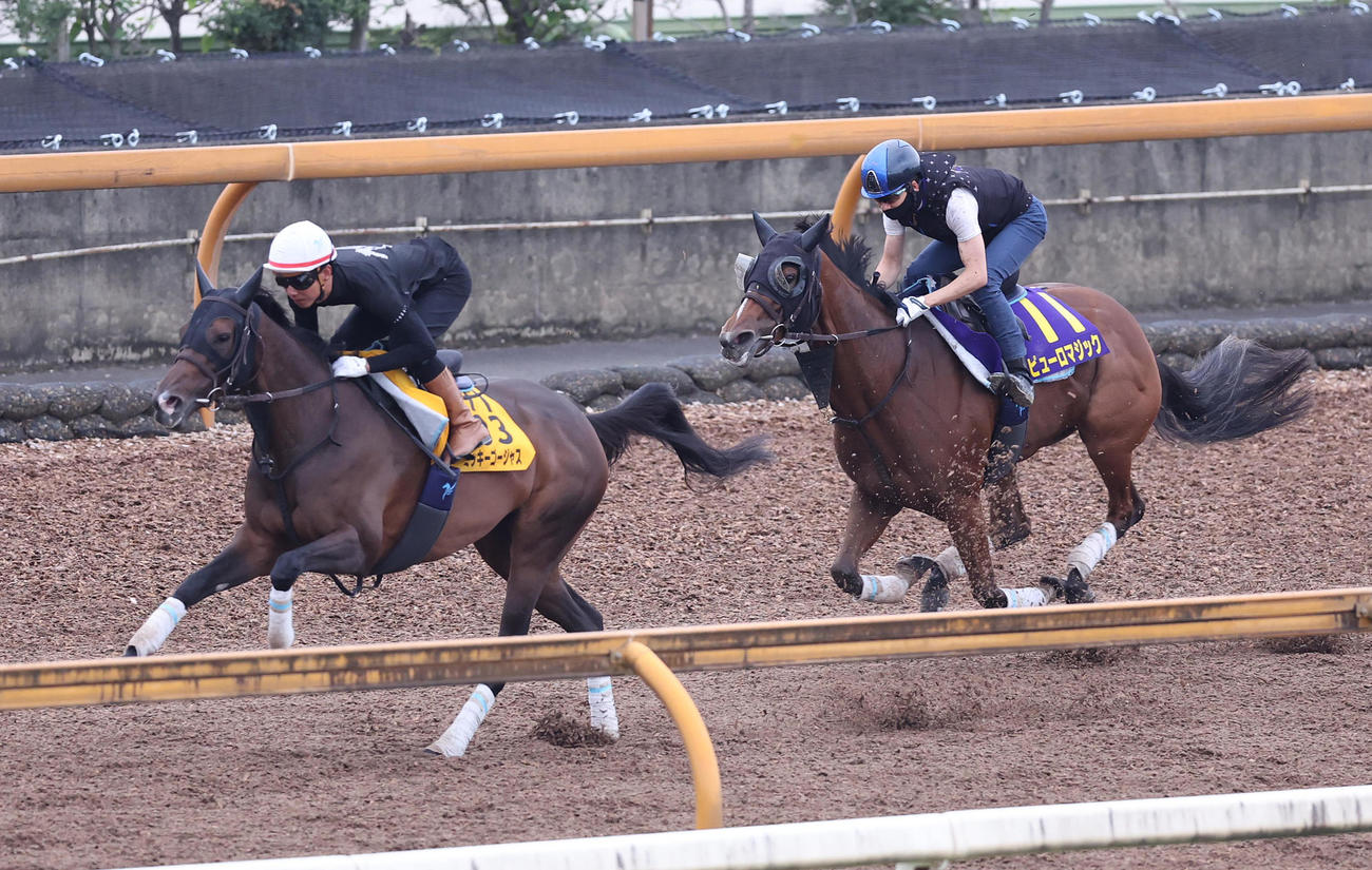 松山騎手を背にCウッドをミッキーゴージャス（左）と併せ馬で追い切るピューロマジック（撮影・白石智彦）