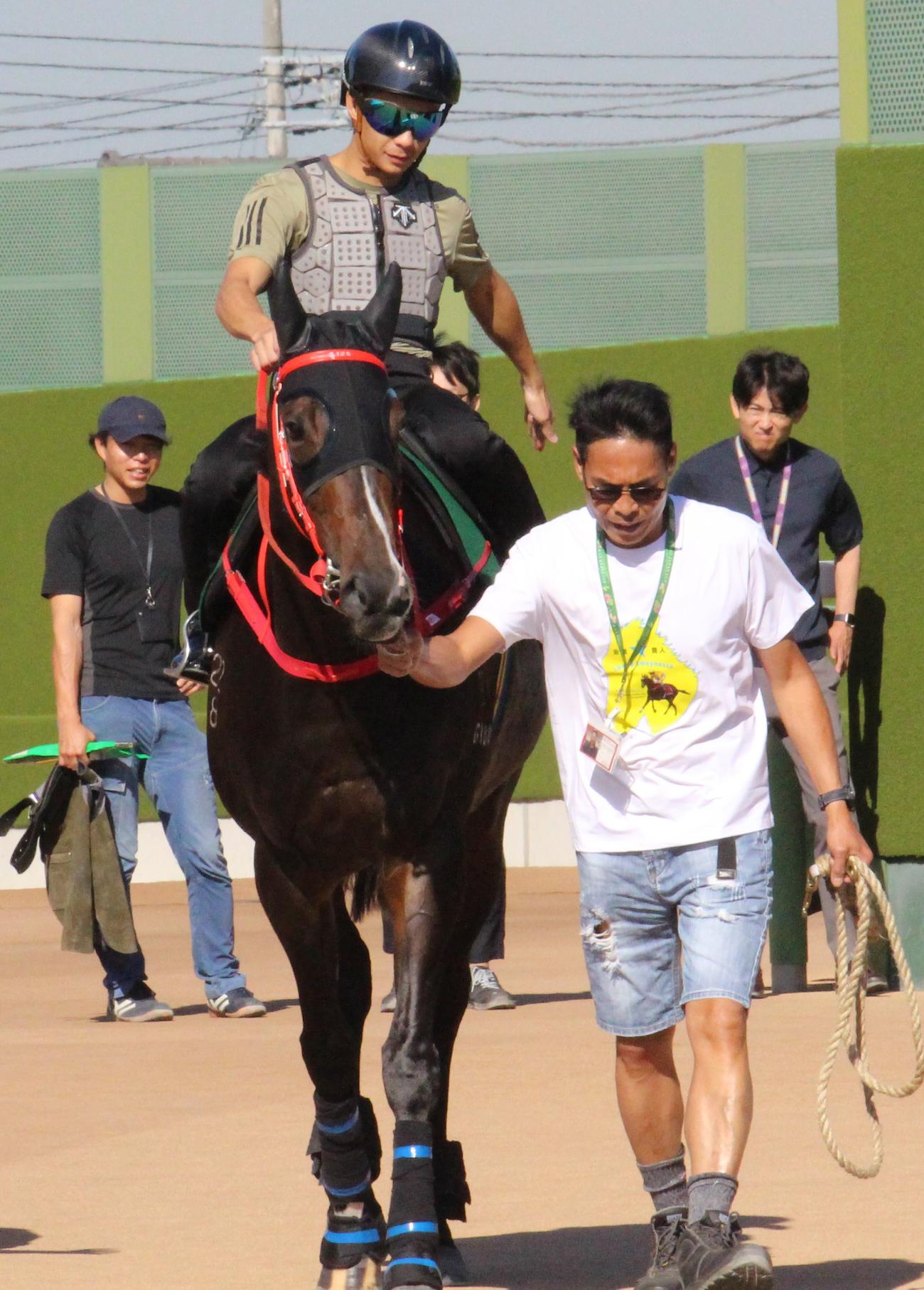 木曜に馬場入りする前のラッキースワイネス（撮影・深田雄智）
