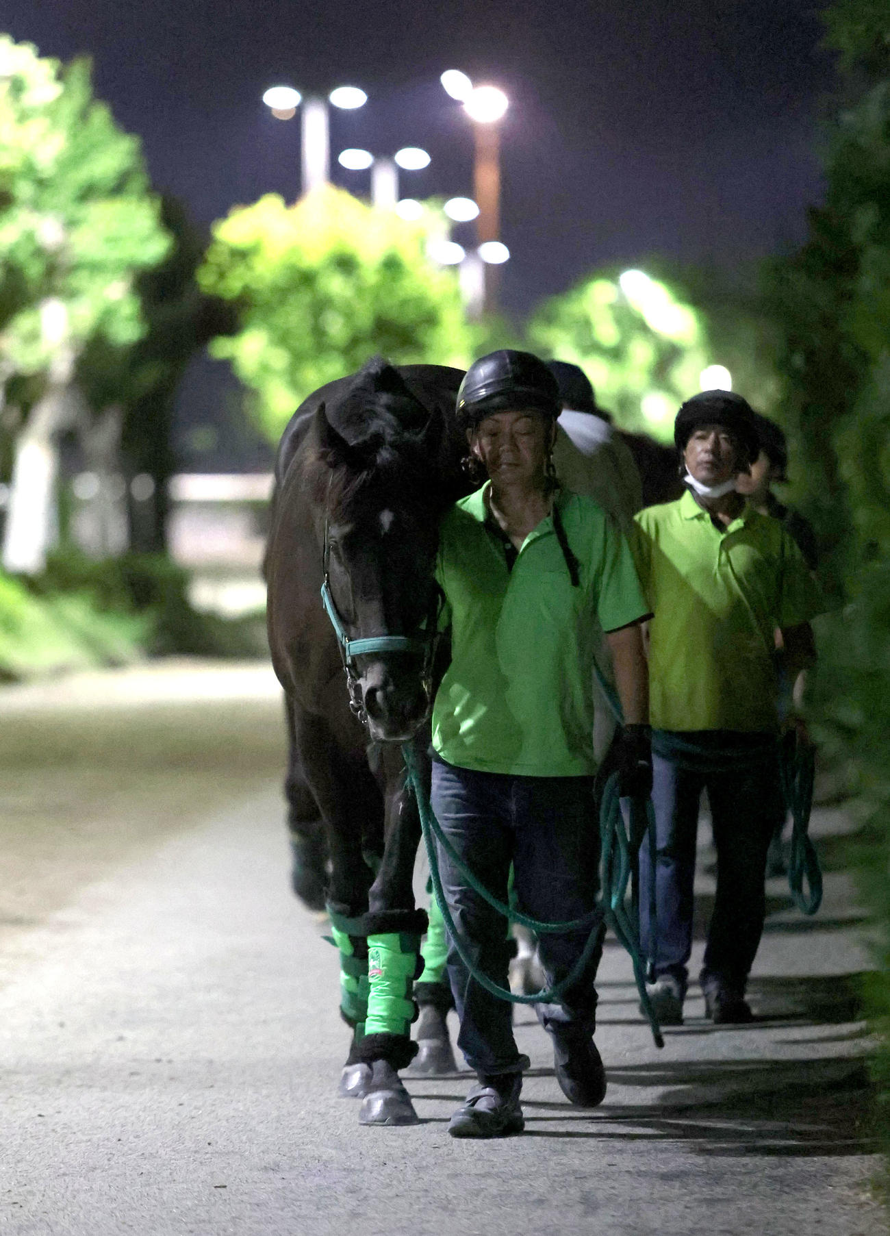 厩舎周りで運動するルガル（撮影・白石智彦）