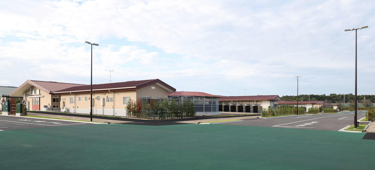 新たに完成した中央地区の厩舎棟（撮影・丹羽敏通）