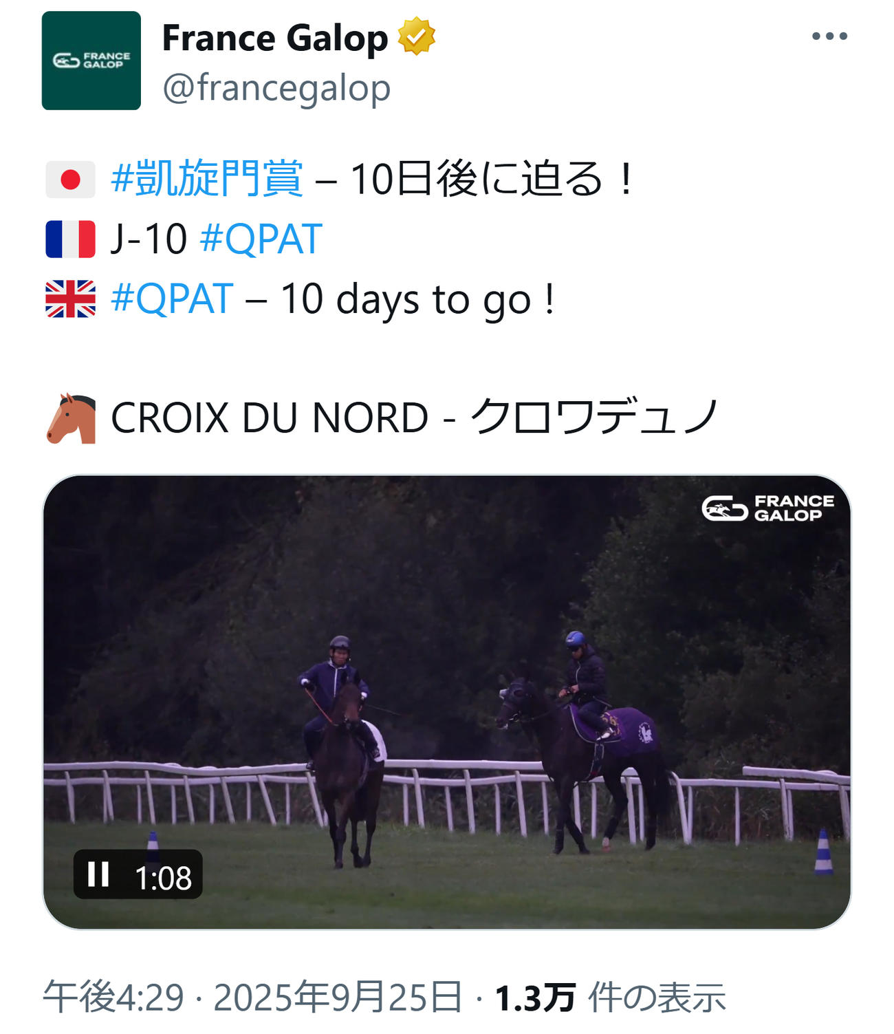 馬場に入ってきたクロワデュノール（フランスギャロの公式Xから）