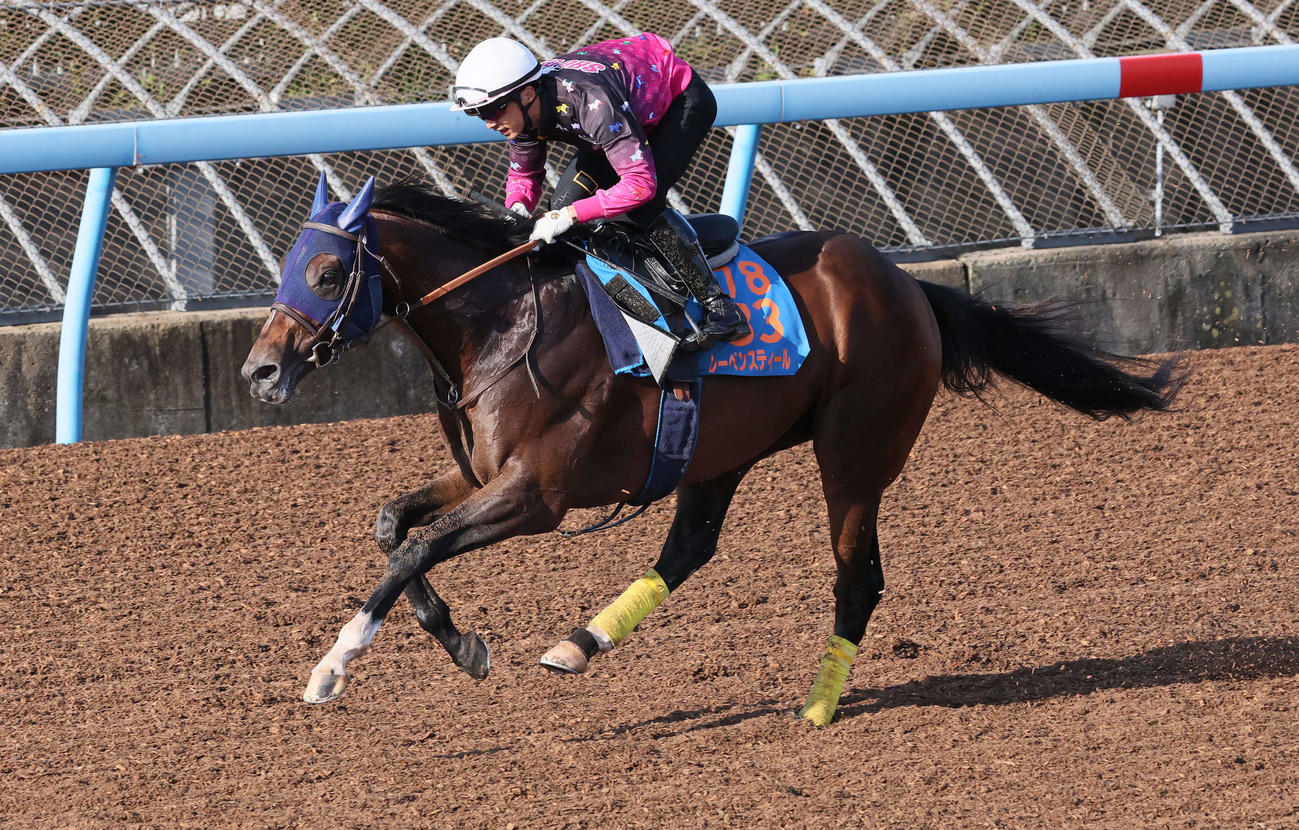 上野騎手を背に美浦ウッドで1週前追い切りを行うレーベンスティール（撮影・丹羽敏通）