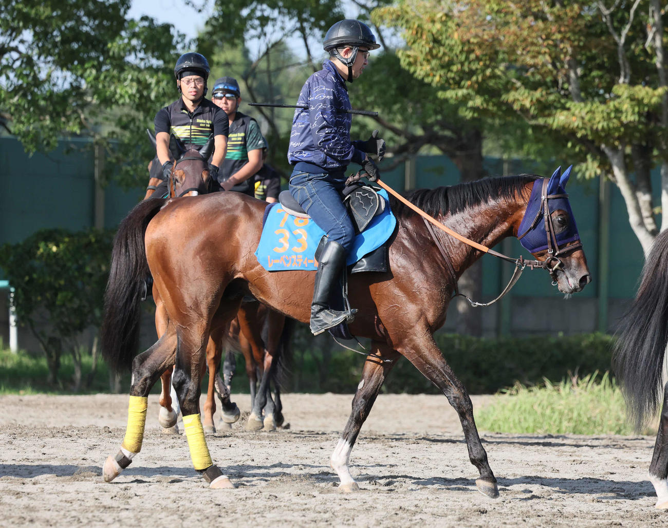 追い切りを終えて馬場を出るレーベンスティール（撮影・丹羽敏通）