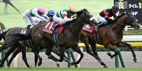 毎日王冠を制したシックスペンス=2024年10月6日、東京競馬場