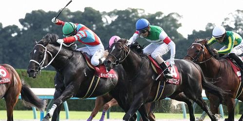 京都大賞典を制したシュヴァリエローズ＝２０２４年10月６日、京都競馬場