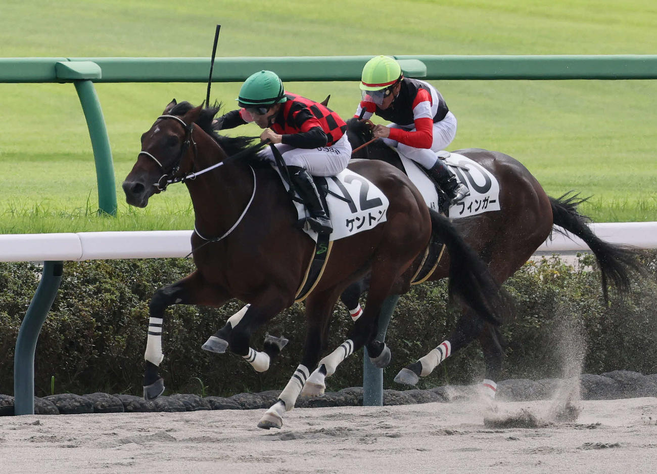 中山4R、2歳新馬戦を制したケントンと佐々木騎手（撮影・丹羽敏通）