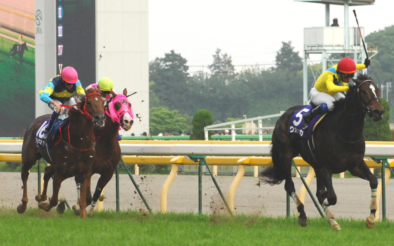 08年安田記念2着に敗れたアルマダ（左）。右は勝ったウオッカ