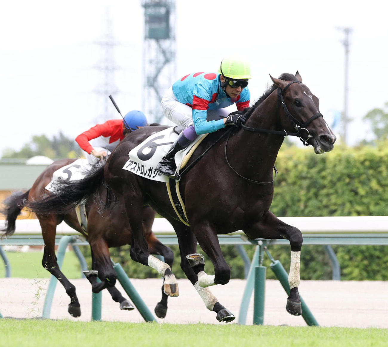 8月10日中京4Rの新馬戦を制したアストロレガシー