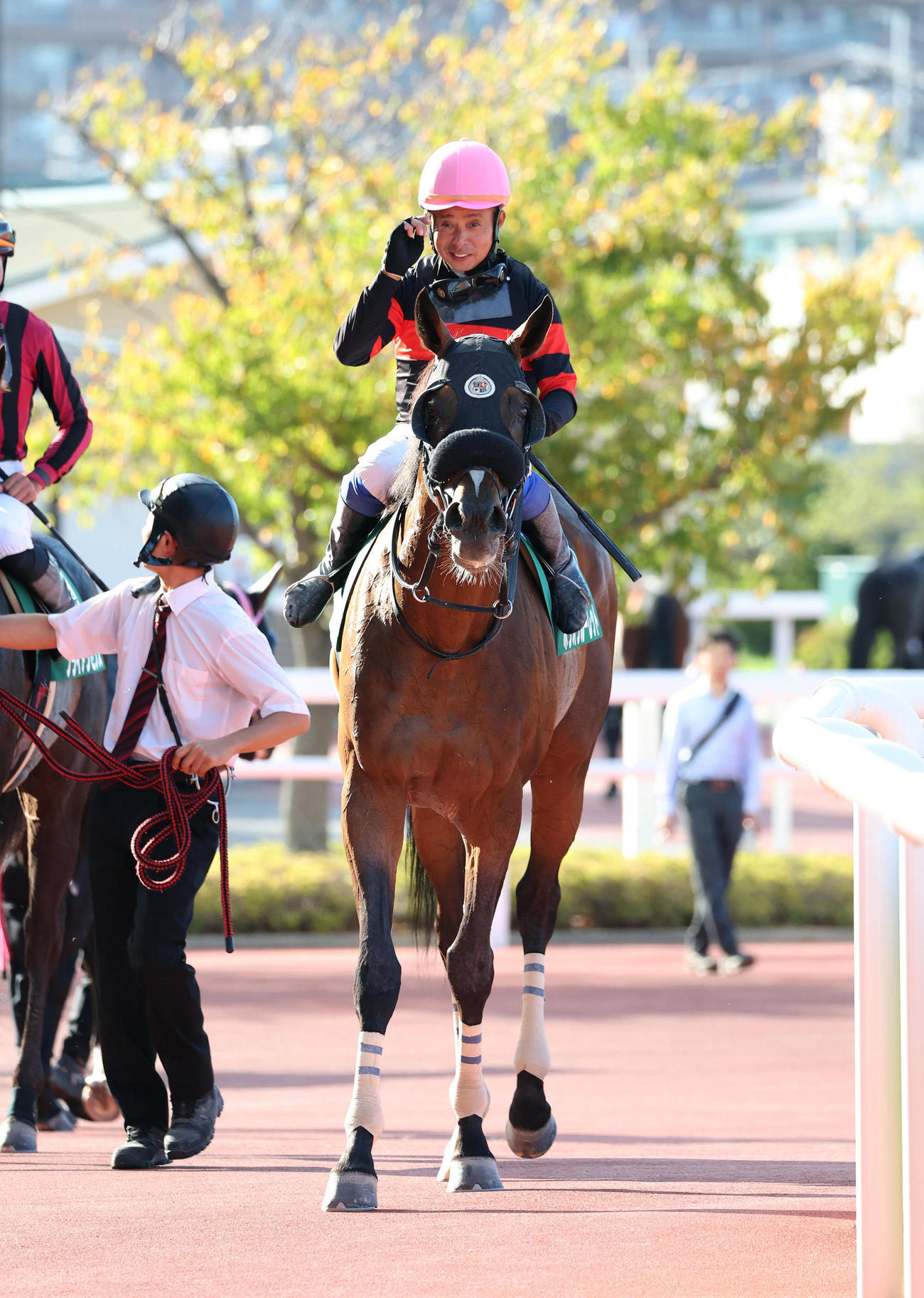 阪神11R、シリウスSを制したホウオウルーレット（撮影・白石智彦）