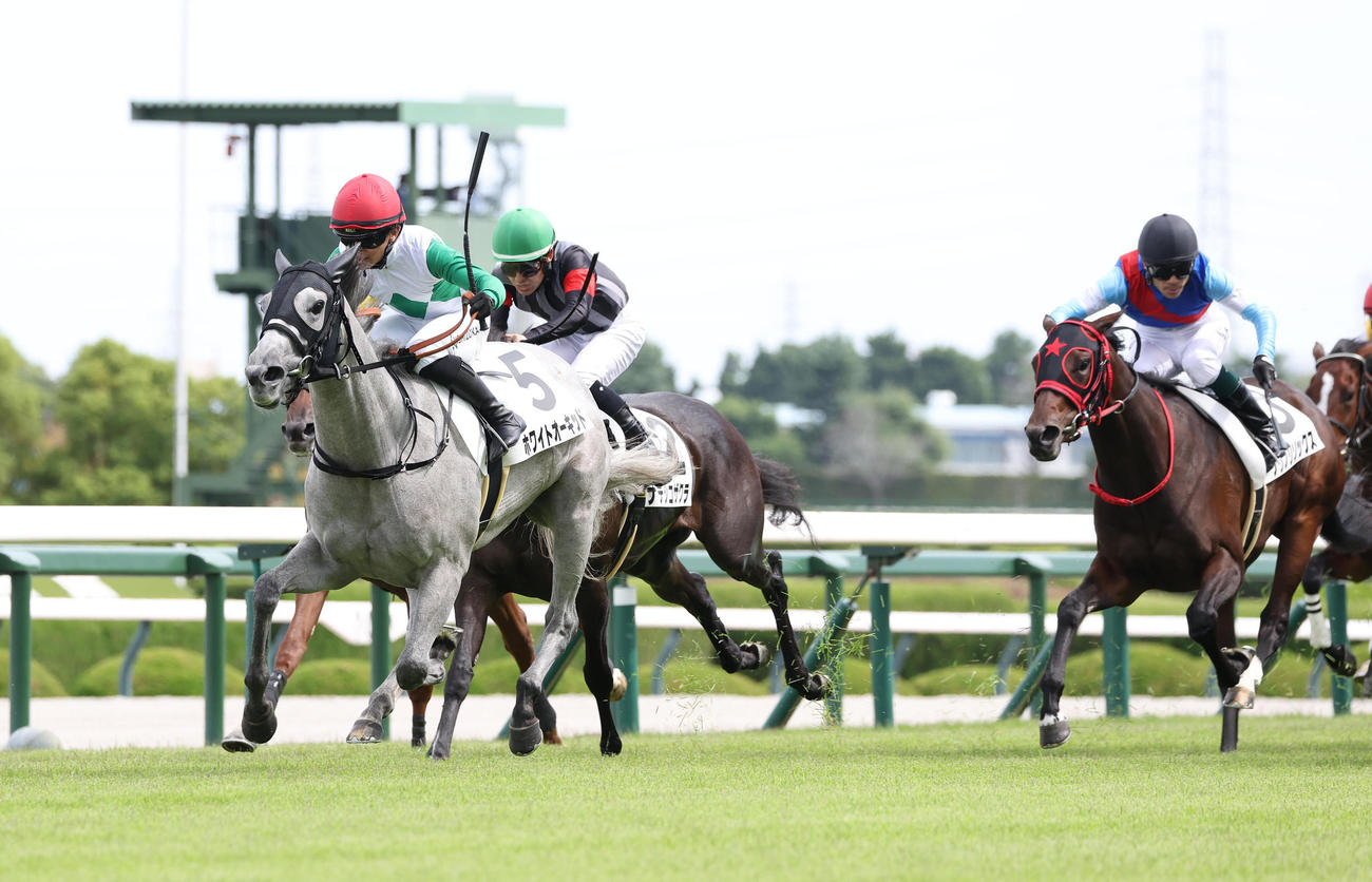 阪神4R、直線抜け出して新馬戦を制したホワイトオーキッド（左）（撮影・白石智彦）