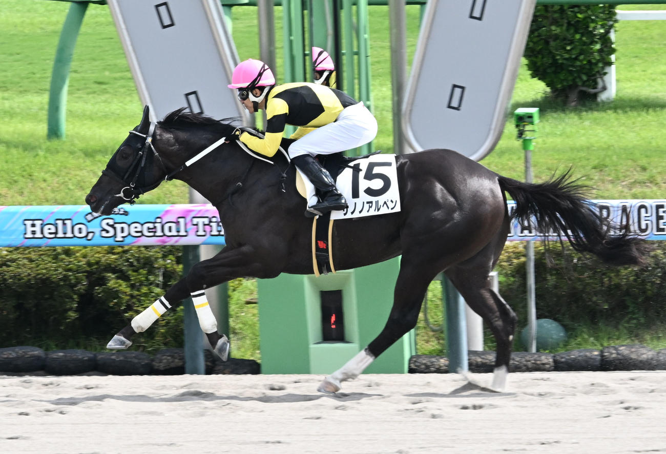 中山4R、2歳新馬戦を制したサノノアルペンと丹内騎手（撮影・千葉一成）