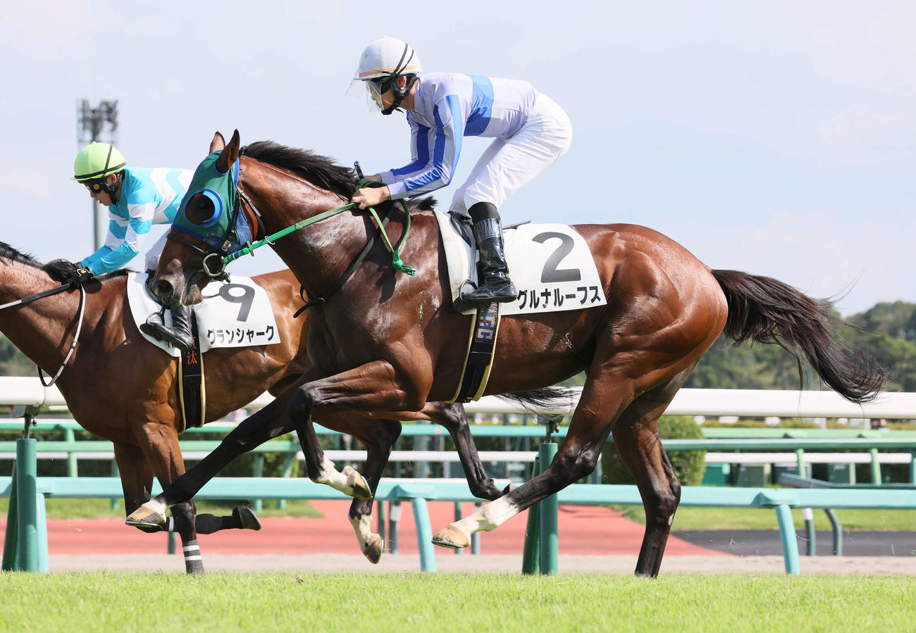 中山7R、最後のレースとなった3歳上1勝クラスをグルナルーフスで16着でゴールする宮崎騎手（撮影・丹羽敏通）