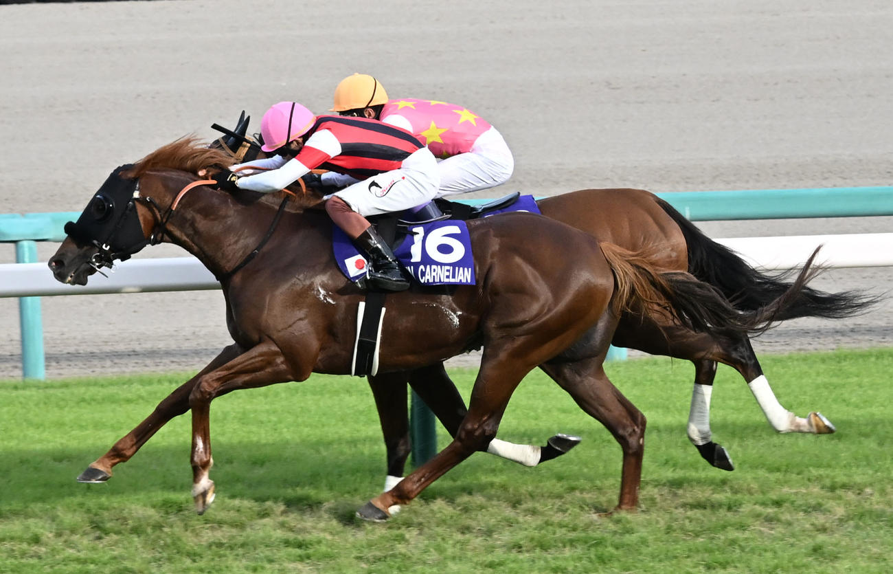 スプリンターズSを制したウインカーネリアンと三浦騎手（手前）（撮影・千葉一成）