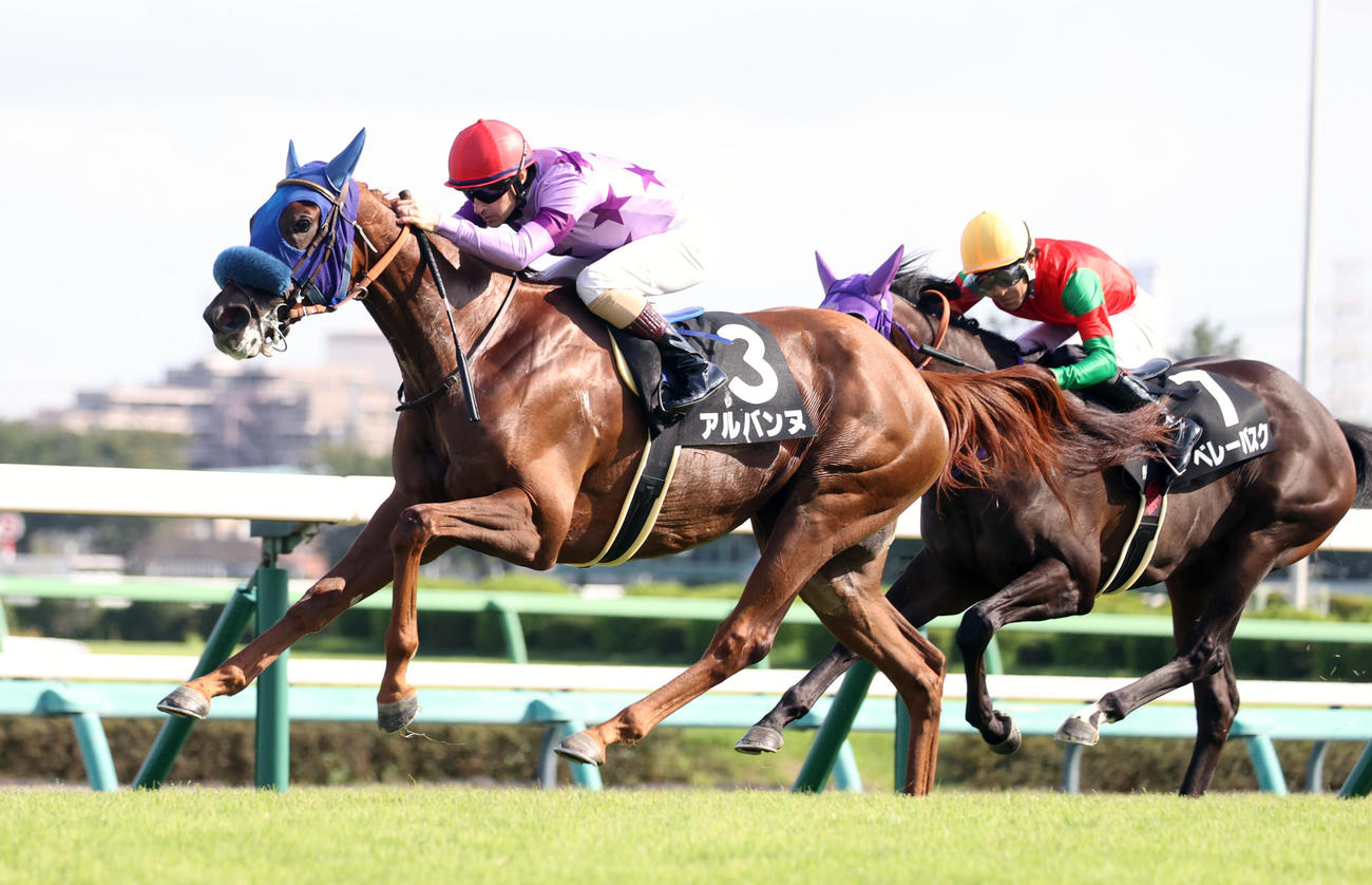 中山9R、サフラン賞を制したアルバンヌ（左）。右は2着ベレーバスク（撮影・柴田隆二）　　
