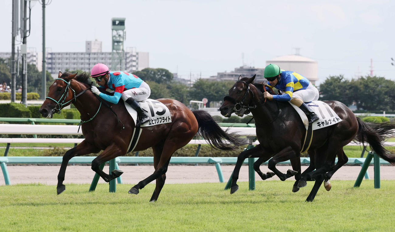 中山5R、新馬戦を制したエピックフライトとモレイラ騎手（左）。右は2着キャルナイト（撮影・丹羽敏通）