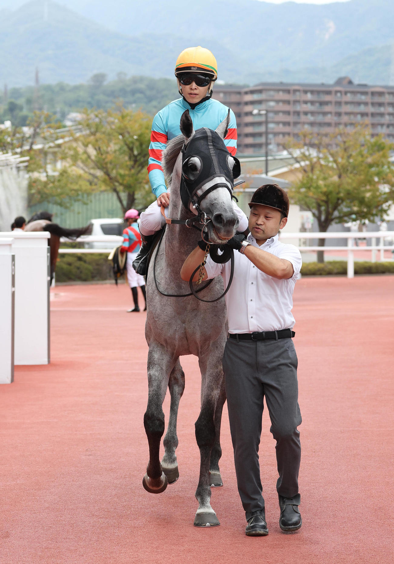 阪神11R、ポートアイランドSを制したヤマニンサンパ（撮影・白石智彦）
