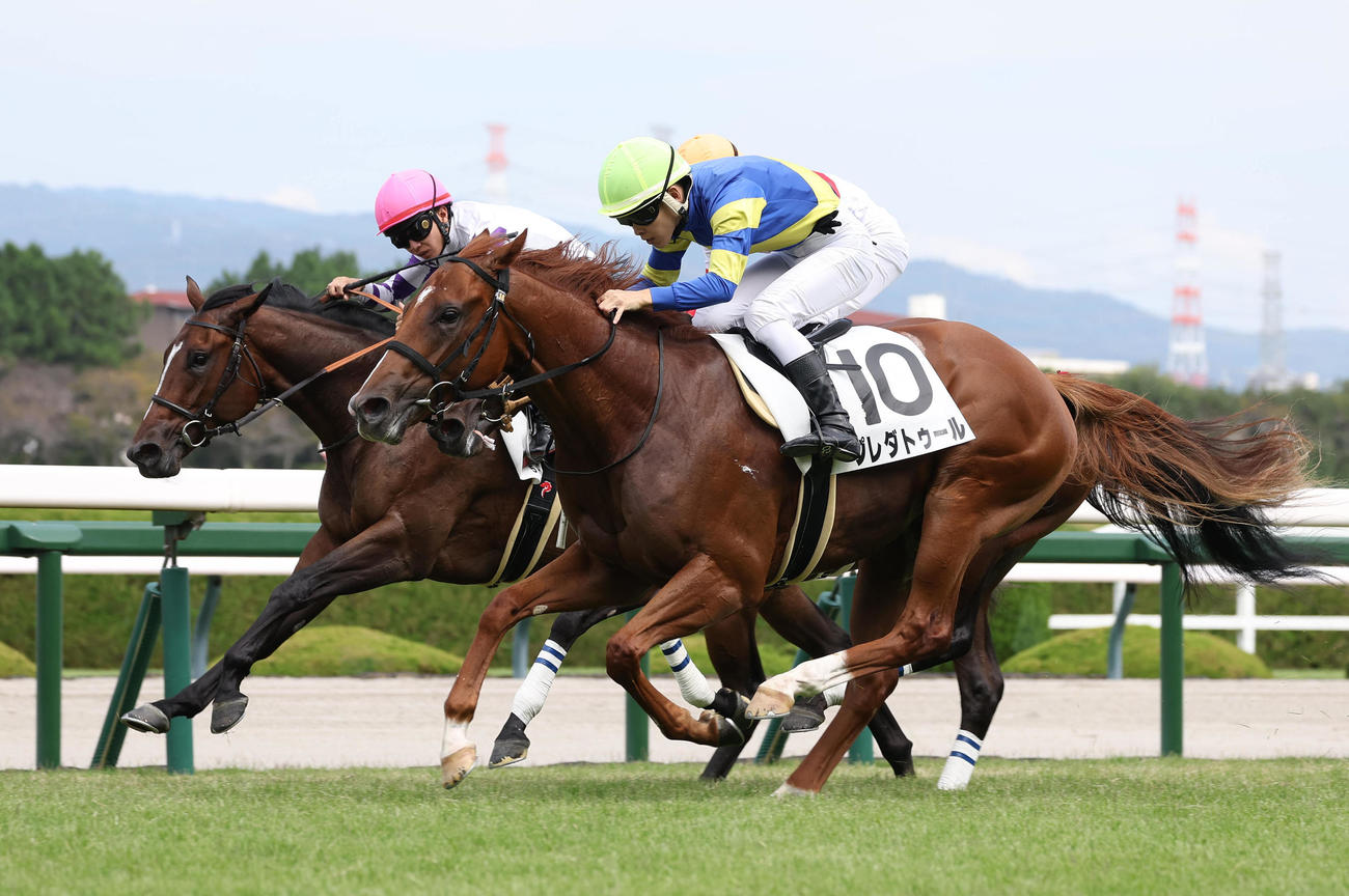 阪神5R、ゴール前差し切って新馬戦を制したプレダトゥール（右）（撮影・白石智彦）