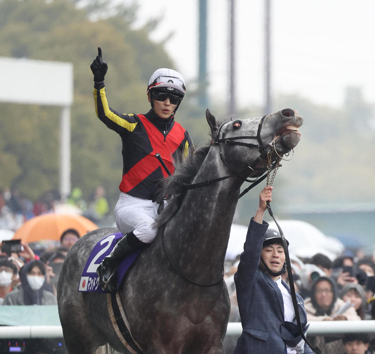 24年高松宮記念を制したマッドクールと坂井瑠星騎手