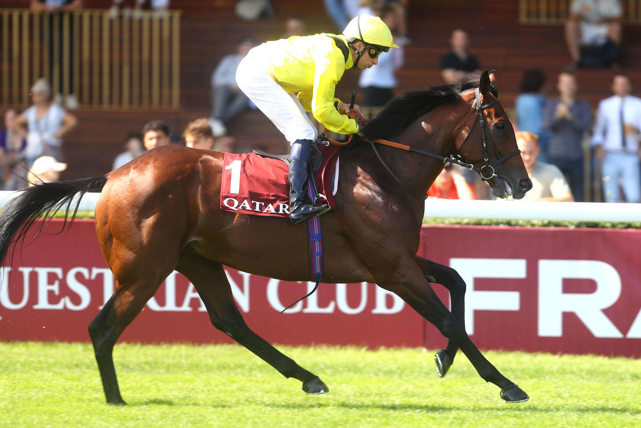 凱旋門賞の登録を取り消したフォワ賞3着馬アルマカム（C）Scoopdyga