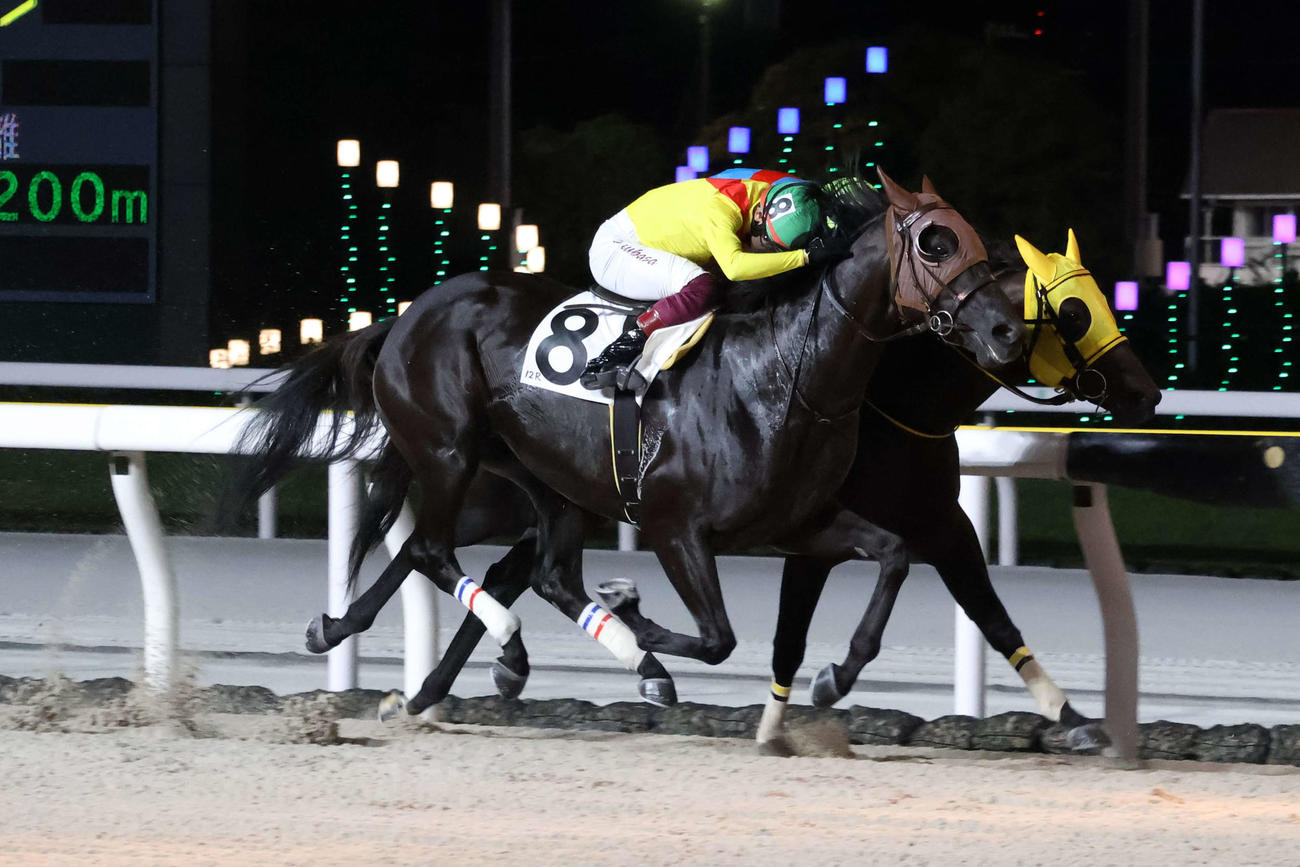 9月30日の船橋12Rをアトモスフィア（手前）で制した大井の笹川翼騎手は地方競馬通算2400勝を達成